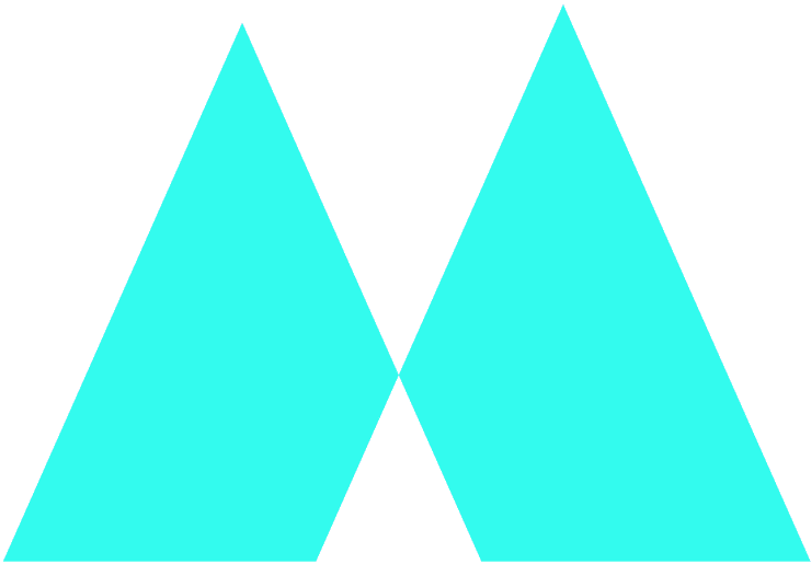 ExpenX
